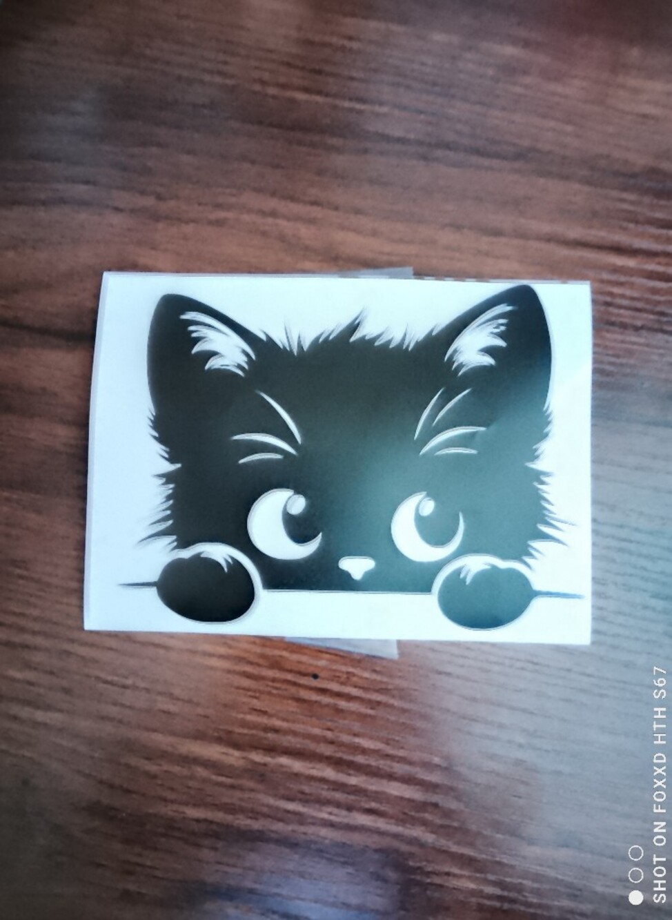 Black Cat Vinyl Sticker for Cats - Decorative Pet Decal